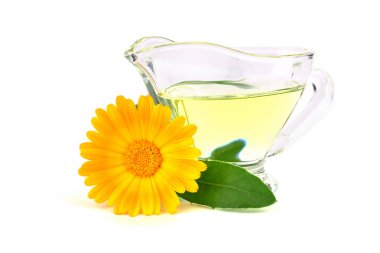 Ortak Marigold çiçek (Calendula Officinalis) uçucu yağ özü. Beyaz arka plan üzerinde izole. Ayrıca Ruddles, Pot veya ortak veya Scotch kadife çiçeği.