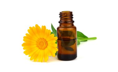 Ortak Marigold çiçek (Calendula Officinalis) uçucu yağ özü. Beyaz arka plan üzerinde izole. Ayrıca Ruddles, Pot veya ortak veya Scotch kadife çiçeği.