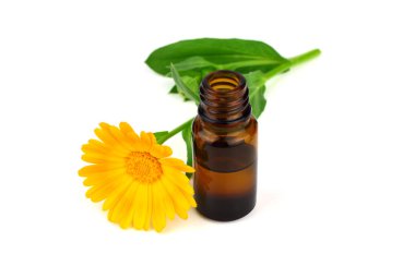Ortak Marigold çiçek (Calendula Officinalis) uçucu yağ özü. Beyaz arka plan üzerinde izole. Ayrıca Ruddles, Pot veya ortak veya Scotch kadife çiçeği.