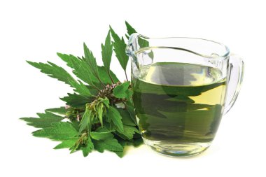 Motherwort Medicinal Herb Plant Tea Extract or Tincture in a Glass. Isolated on White Background. Also Leonurus Cardiaca, Throw-Wort, Lion's Ear or Tail. clipart