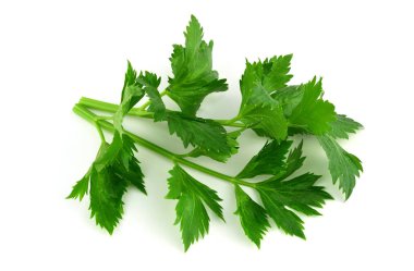 Yeşil Closeup (Apium Graveolens) üzerinde beyaz izole Bahçe Kereviz salatası.