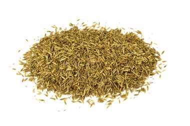 İzole çim tohumu yığın (Lolium).