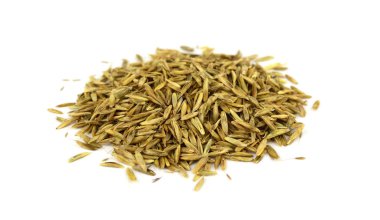 İzole çim tohumu yığın (Lolium).