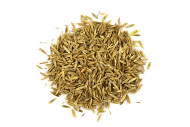 Isolated Ryegrass Seed Heap (Lolium). clipart