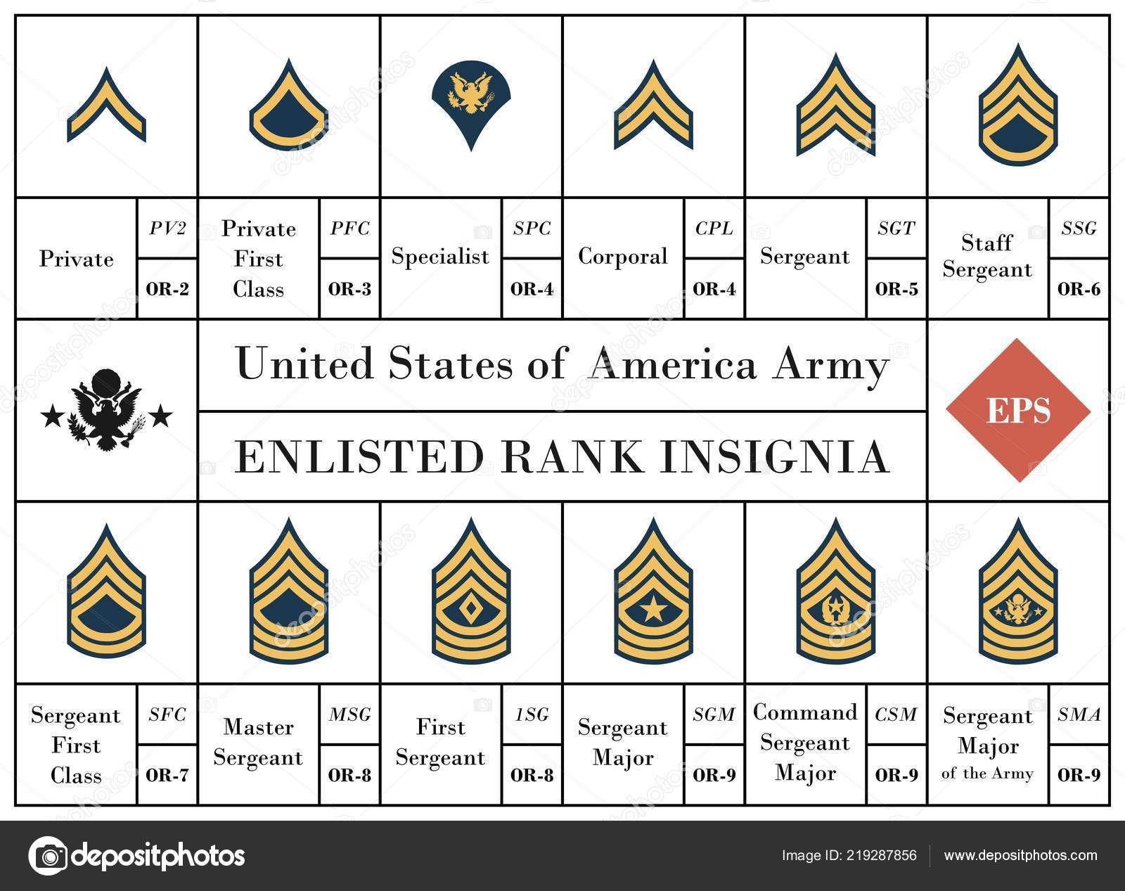 Vector Collection United States America Army Enlisted Rank Insignia ...