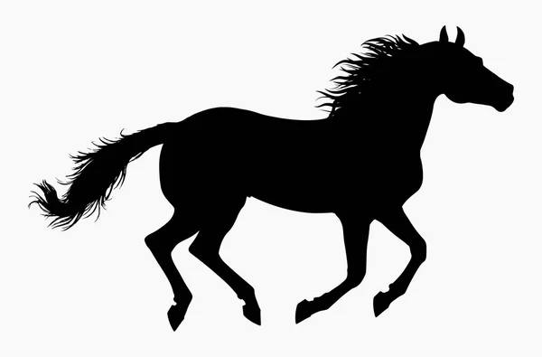 Vector High Detailed Illustration Running Horse Galloping Isolated White Background — Stock Vector