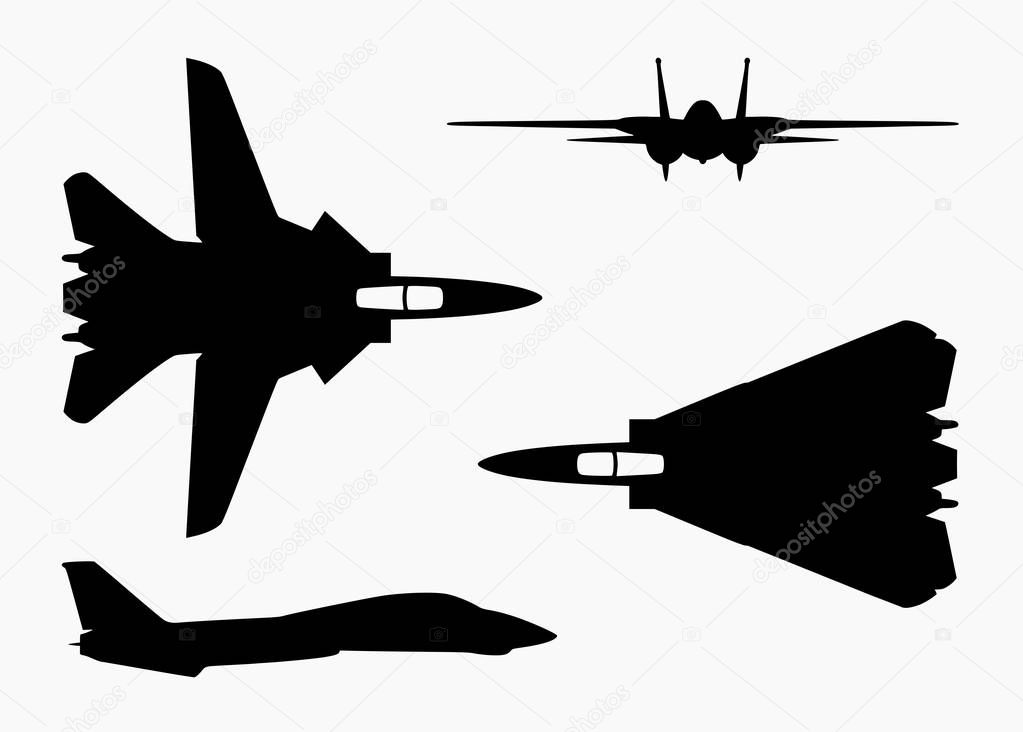 Vector illustration silhouette of the multirole aircraft f-14 tomcat isolated on white background