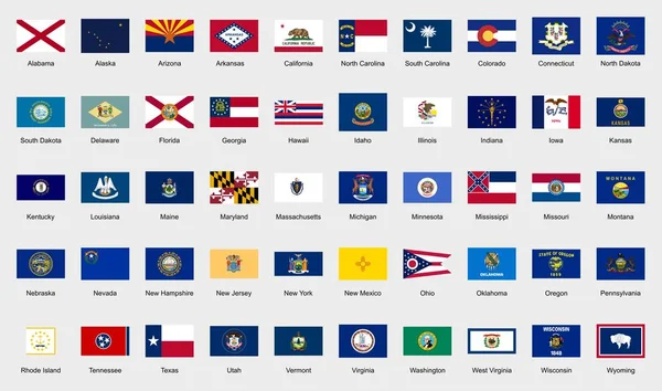 Ensemble Collection Haute Qualité Des États Unis Amérique Cinquante Drapeaux — Image vectorielle