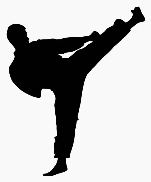 Hoch Detaillierte Vektorillustration Der Silhouette Der Karate Demonstration High Kick — Stockvektor