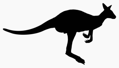Beyaz arka plan üzerinde izole kanguru siluet vektör çizim