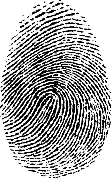 Высококачественная Иллюстрация Отпечатка Пальца Человека Белом Фоне Файл Доступен Векторных — стоковый вектор