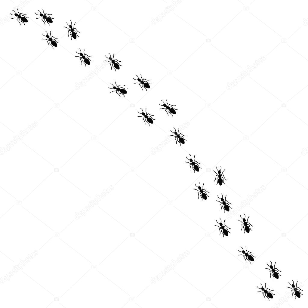 Vector illustration of many worker ants marching in a line. Black ants silhouette isolated on white background