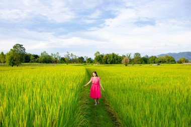 Asyalı güzel kadın Asya 'daki altın pirinç tarlasında yürümekten hoşlanıyor. Hasat mevsiminde Tayland kırsalındaki güzel Jasmine Rice tarlası manzarası. Doğa kavramının keyfi.