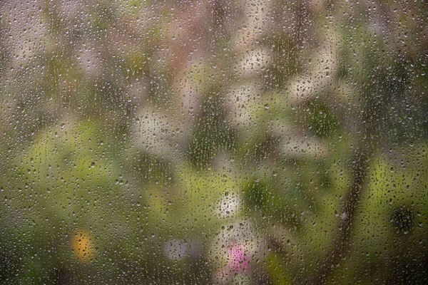 Dešťové Kapky Sklo Okna Tmavě Zelenou Přírodou Rozmazané Pozadí Dešťové — Stock fotografie
