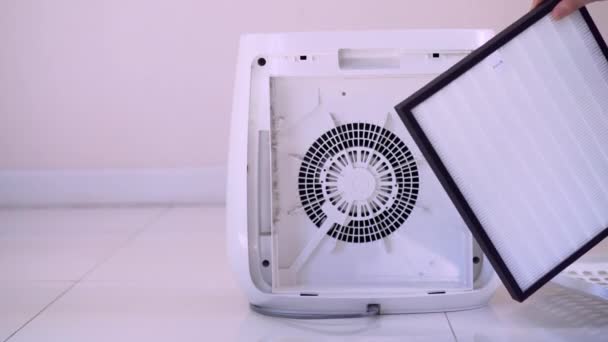 Asian Woman Changing Air Purifier Filter Close — Stock Video