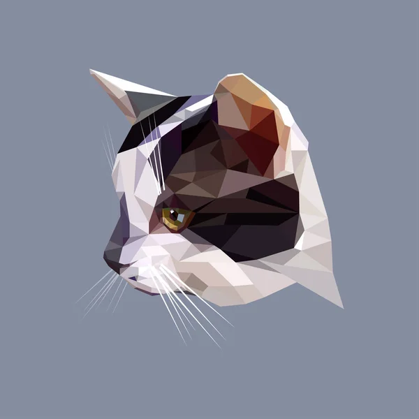 Design low Poly. Illustrazione del gatto di colore poligonale . — Vettoriale Stock