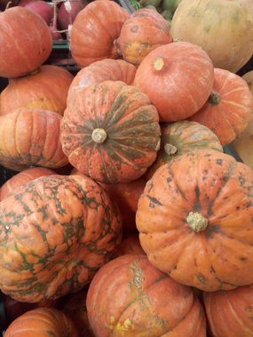 Kabaklar Cadılar Bayramı için bekliyor