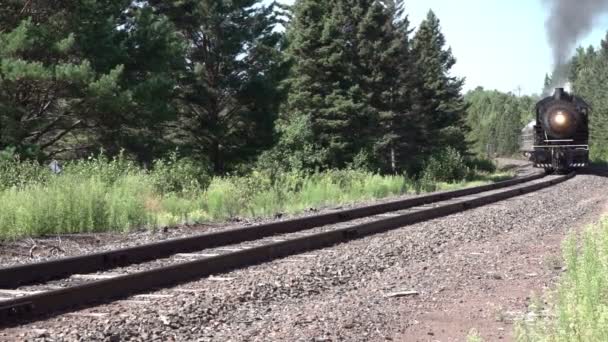 North Shore Scenic Railroad Train Avgår Den Historiska Duluth Union — Stockvideo