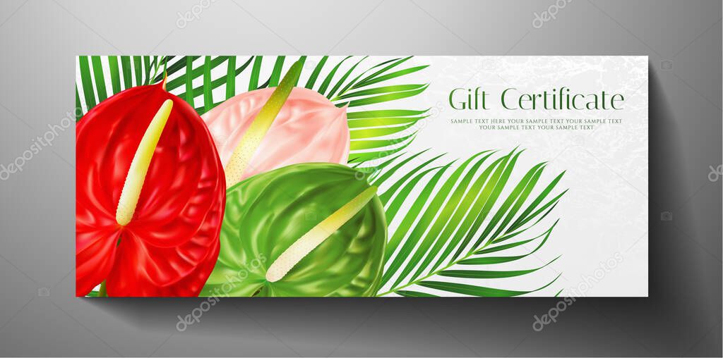 Gift certificate, Voucher with tropical exotic realistic asian flower bouquet - Anthurium andraeanum (flamingo flower) and green palm branch. Blank background template useful for wedding design, invitation card or coupon