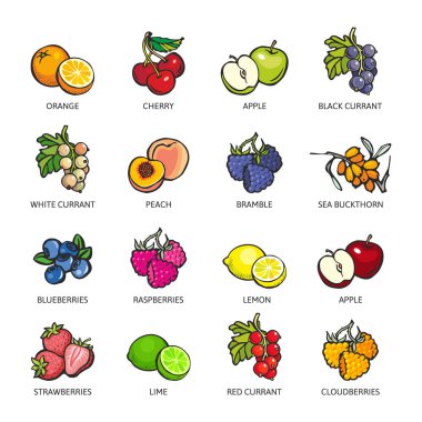 Set of colorful berries and fruits: Orange, Cherry, Apple, Black Currant, Peach,Bramble, Sea Buckthorn, Blueberry, Raspberry, Lemon, Lime, Strawberry, Red Currant, Cloudberry. Vector flat icon illustration, isolated on white. clipart