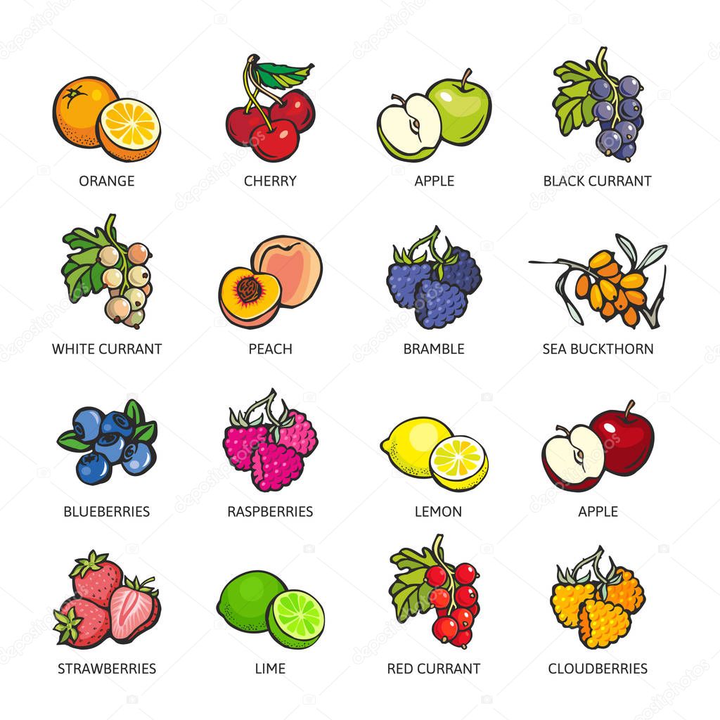 Set of colorful berries and fruits: Orange, Cherry, Apple, Black Currant, Peach,Bramble, Sea Buckthorn, Blueberry, Raspberry, Lemon, Lime, Strawberry, Red Currant, Cloudberry. Vector flat icon illustration, isolated on white.