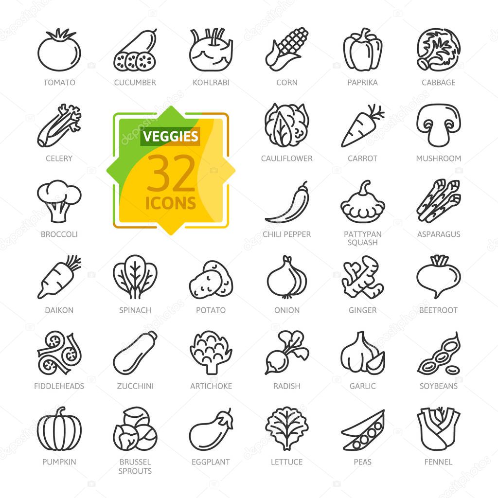 Vegetarian, vegetable, veggies - minimal thin line web icon set. Included the simple vector icons as tomato, cucumber, kohlrabi, cauliflower, pattypan squash, fiddleheads, daikon. Outline icons collection. 