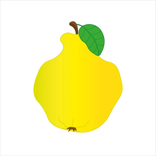 Fruta Entera Membrillo Aislada Sobre Fondo Blanco Ilustración Vectorial Estilo — Vector de stock