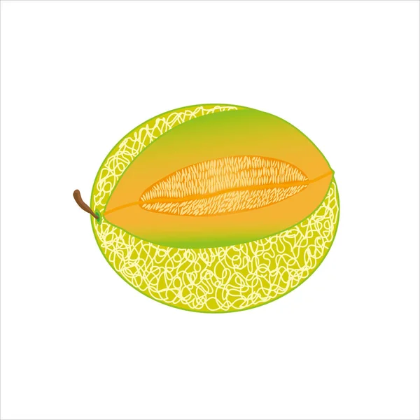 Melón Aislado Sobre Fondo Blanco Ilustración Vectorial Estilo Plano — Vector de stock