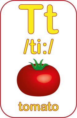 Harf T. Alfabe kartları koleksiyonu. Vektör çizimi. Çocuklar için alfabe hafıza kartı. Eğitimli çocuklar. İngilizce kelime bilgisi öğreniliyor. 