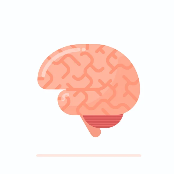 Ilustração Design Plano Cérebro Humano Saudável Isolado Branco —  Vetores de Stock