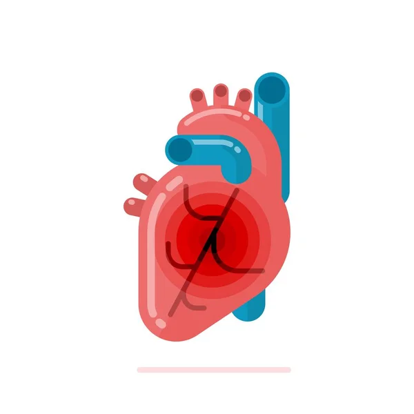 Плоский дизайн иллюстрация здорового человеческого сердца — стоковый вектор