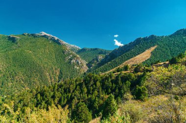 Ormanla kaplı dağlar