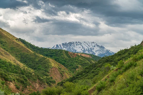 Mountain alp, Chimgan, Uzbekistan — Stock Photo, Image