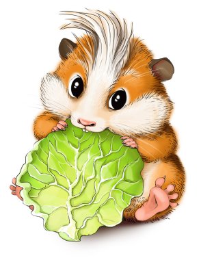 komik karikatür hamster