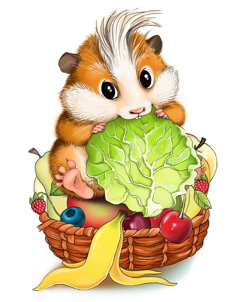 Funny cartoon Hamster — Stock Photo, Image