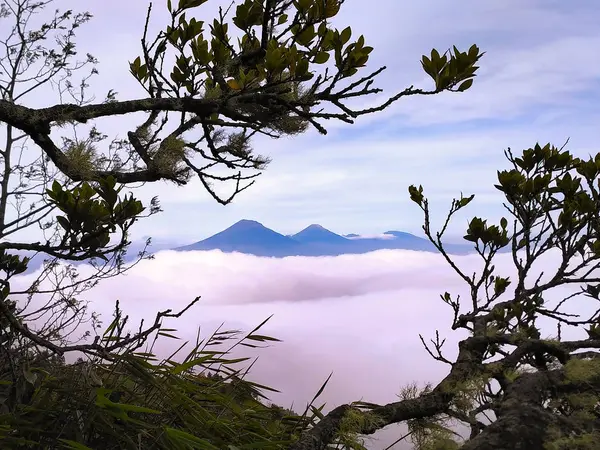 Aussichtsreicher Blick Auf Den Berg Mit Einfassung Des Baumes Gegen — Stockfoto