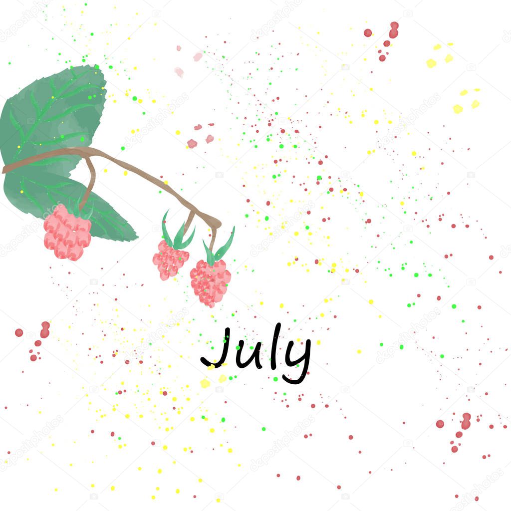 raspberry watercolor painting for calendar