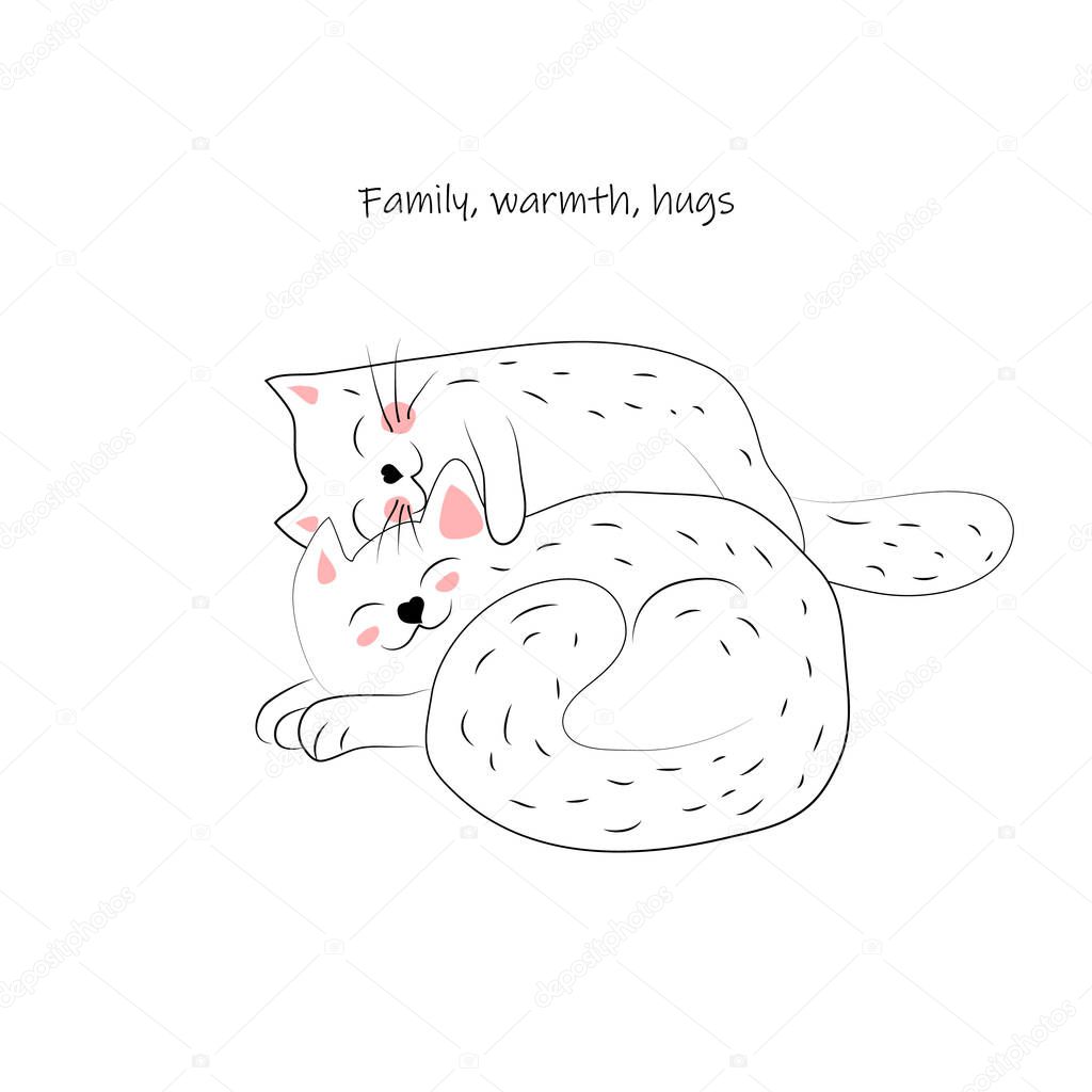 Postcard two kittens hugging