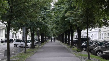 Yaprak ağaçlarının bir sokak