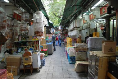 Hong Kong Mong Kok bölgesinde Kuş Bahçesi