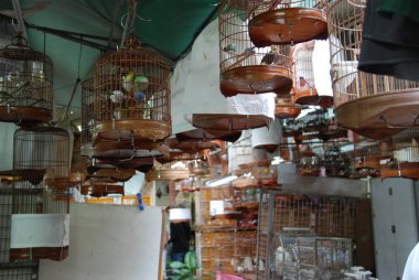 Hong Kong Mong Kok ilçesinde Kuş Bahçesi kuş ile Kafesler