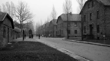 Auschwitz toplama kampı, Polonya'da müze