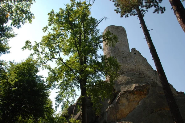 Tower of Frydstejn castle with forest around in Bohemian Paradise, Czech Republic