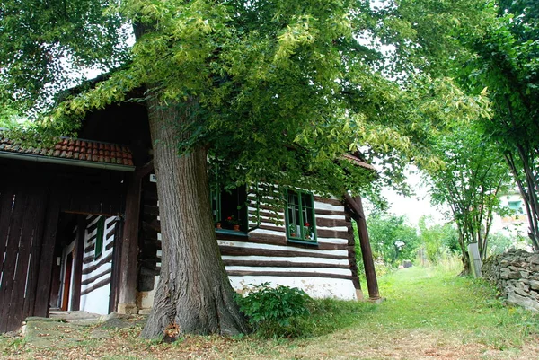 Tradizionale Vecchio Casolare Legno Con Finestre Verdi Nascoste Dietro Grande — Foto Stock