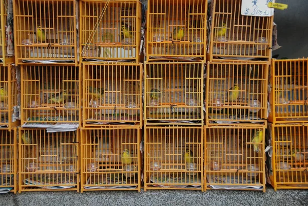 Cages with birds in Bird Garden in Mong Kok district of Hong Kong