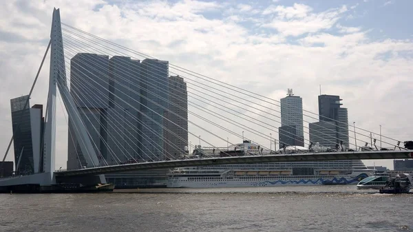 Panorama Del Centro Rotterdam Con Grattacieli Ponte Porto — Foto Stock