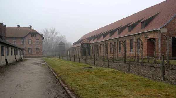 Auschwitz toplama kampı, Polonya'da müze