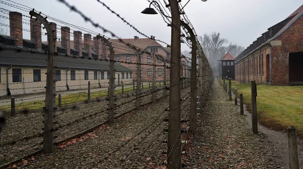 Auschwitz toplama kampı çevresinde dikenli teller, Polonya