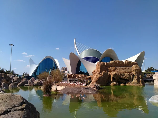 Oceanarium Oceanografic Der Stadt Der Künste Und Wissenschaften Valencia Spanien — Stockfoto