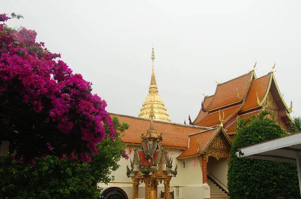 Templo Budista Doi Suthep Com Estupa Dourada Chiang Mai Tailândia — Fotografia de Stock